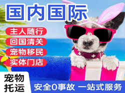 兰旗机场空运国际宠物托运 【国